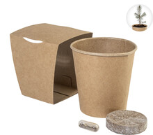 Sada pro p�stov�n� v�no�n�ho stromku MerryGrow, p��rodn�