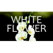 VN VISIONAIR Mini WHITE FLOWERS, 3000 dvek