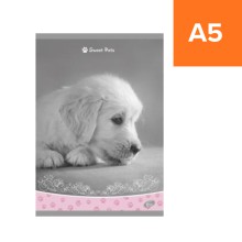 SE�IT POZN�MKOV� Ml��ata II, A5, 40 list�, linka, mix 6 motiv�