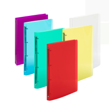 Po�ada� Karton PP Lines A4, m�kk� desky, 4 krou�ky, r�zn� barvy